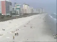!1207332429.webp