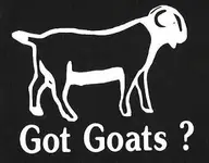 got_goats.webp