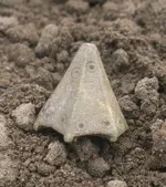 Saxon Bell.webp