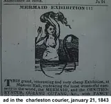 mermaid1.webp