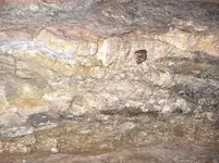 IMGP2610.webp
