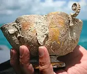chalice gold.webp