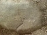 DSC00826.webp