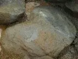 DSC00825.webp