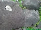 DSC00822.webp
