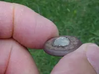 BUTTON WITH FLORESENT STONE.webp