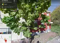 000eee.webp