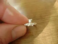 ring1.webp