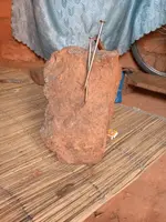 MAG.webp