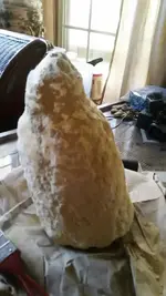 1574186474774.webp