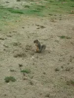 DSCF0002.webp