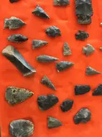 ImageUploadedByTreasureNet.com1572640145.745789.webp