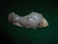 DSC06951.webp