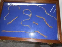 DSCN0321.webp
