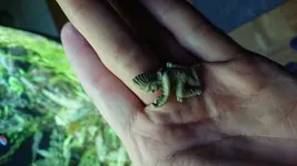 IMG-20191213-WA0000.webp