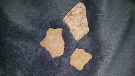 20191013_145440.webp