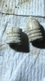85B30AB6-5D97-4190-994D-CF4B3687550F.webp