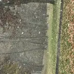 IMG_8108.webp