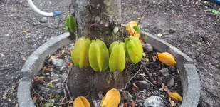 20191202_173247.webp
