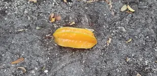 20191202_173308.webp