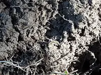 20191119_113421.webp