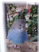 20191009_180144.webp