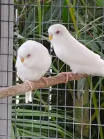 20191008_182059.webp