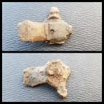 thumbnail.webp