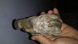20191102_025552.webp