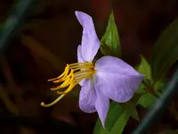 DSCN1970.webp