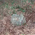 20191120_070348.webp