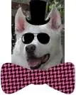 simon1 halloween.webp