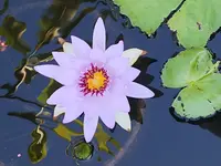 20191102_093934.webp