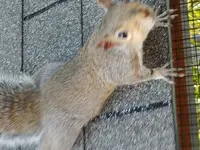 20191020_085251.webp