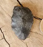 20191013_152219.webp
