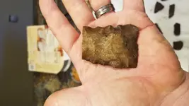 20191102_131902.webp