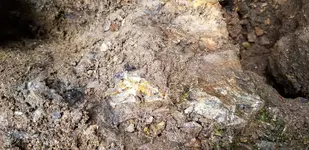 20191119_103025.webp