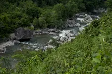 Gualcarque.webp