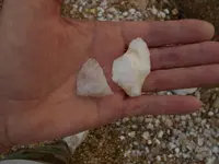 DSCN1859.webp