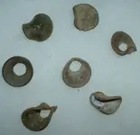 DSCF0002.webp