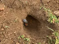 IMG_1600.webp IMG_1600.webp