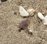 20191102_163655.webp