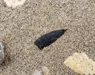 20191102_163800.webp