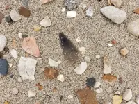 20191102_160452.webp