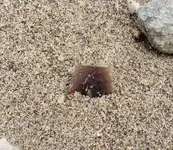 20191102_163835.webp