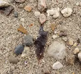 20191102_163901.webp