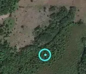 MIcachehunt2019crop.webp