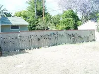 Partial Herd.webp