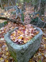 001.webp