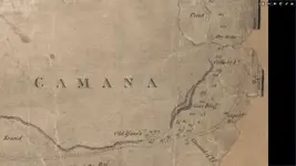 Camana.webp